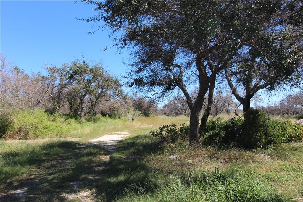 121 Kluge Trail, Rockport, TX 78382 — photo 5