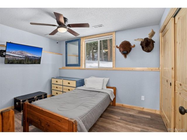 49 Silverheels Xing, Fairplay, CO 80440
