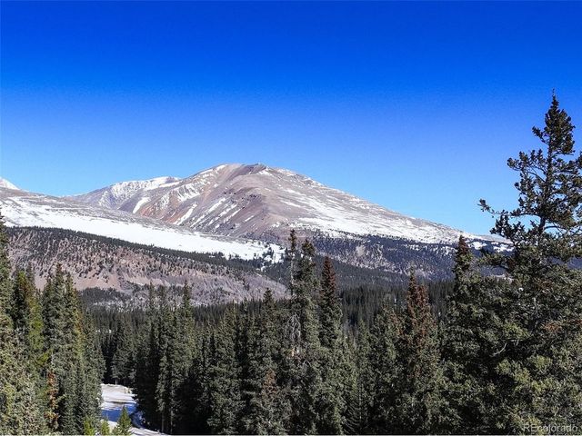 49 Silverheels Xing, Fairplay, CO 80440