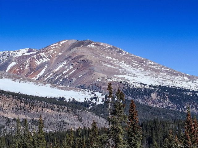 49 Silverheels Xing, Fairplay, CO 80440