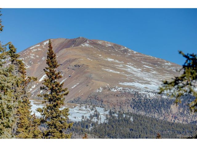 49 Silverheels Xing, Fairplay, CO 80440