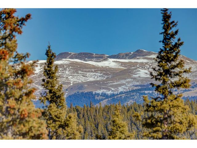 49 Silverheels Xing, Fairplay, CO 80440