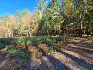 00 Tandy Brook Road # 12, Cornish, NH 03745