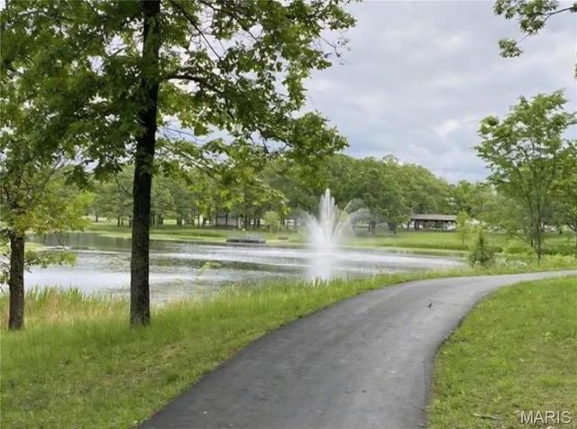 2528 Creve Coeur Drive, Brentwood, MO 63144