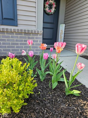 1229 Fleming Drive, Greenfield, IN 46140