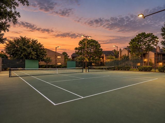 10555 Turtlewood Court 1716, Houston, TX 77072