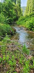 00 Runnett Bag RD, Ferrum, VA 24088
