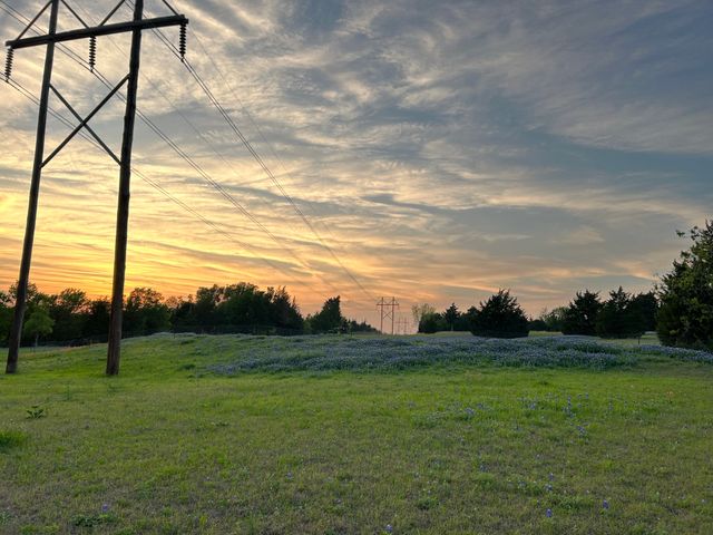 1425 Palmyra, Palmer, TX 75152