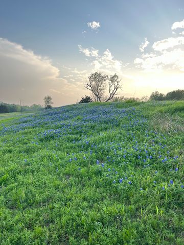 1425 Palmyra, Palmer, TX 75152