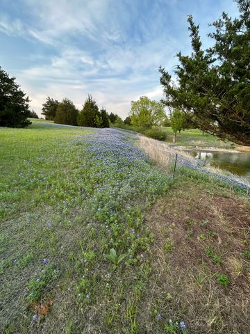1425 Palmyra, Palmer, TX 75152