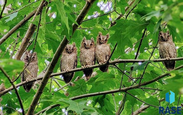 2405 S Lyndale Ave Avenue, Sioux Falls, SD 57105