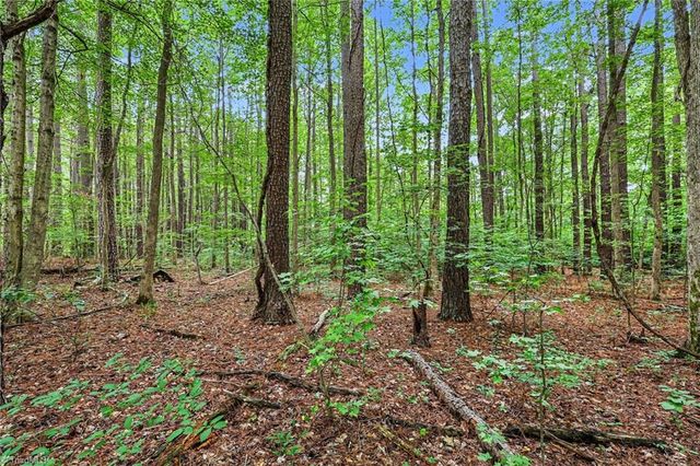 381 E Homestead Drive, Lexington, NC 27292