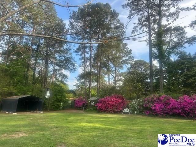 3802 Colonial Road, Florence, SC 29501