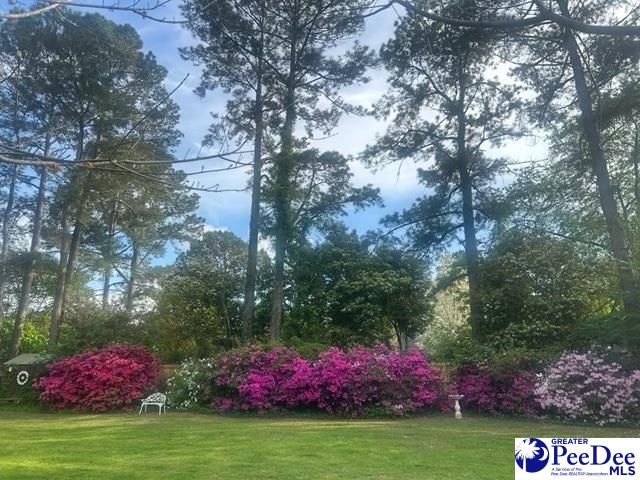 3802 Colonial Road, Florence, SC 29501