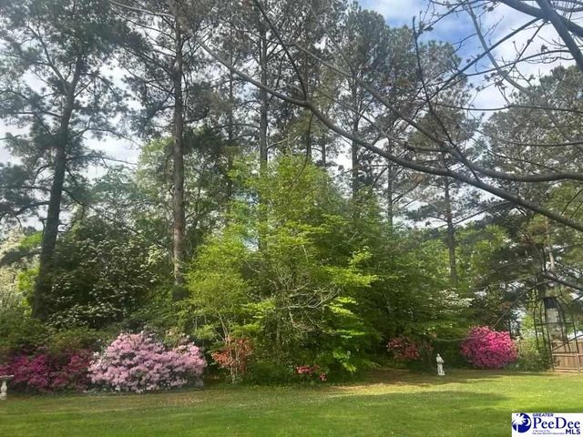 3802 Colonial Road, Florence, SC 29501