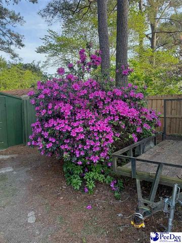 3802 Colonial Road, Florence, SC 29501