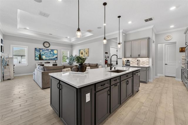 18752 HORIZON VIEW POINT, Land O Lakes, FL 34638