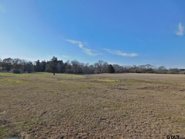 TBD FM 2088, Quitman, TX 75783