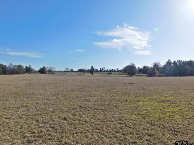 TBD FM 2088, Quitman, TX 75783