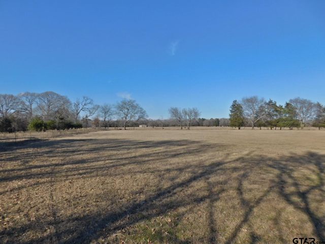 TBD FM 2088, Quitman, TX 75783