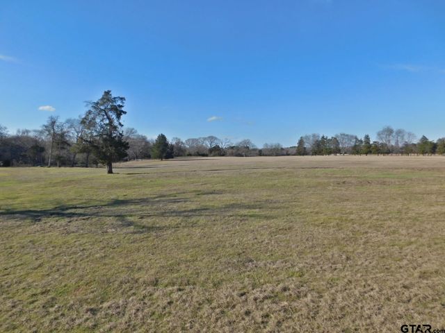 TBD FM 2088, Quitman, TX 75783