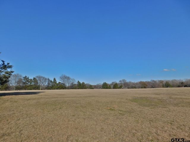 TBD FM 2088, Quitman, TX 75783