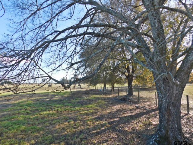 TBD FM 2088, Quitman, TX 75783