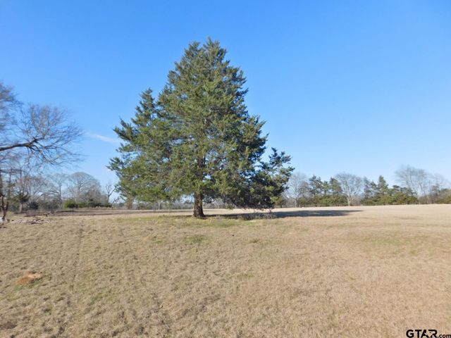 TBD FM 2088, Quitman, TX 75783