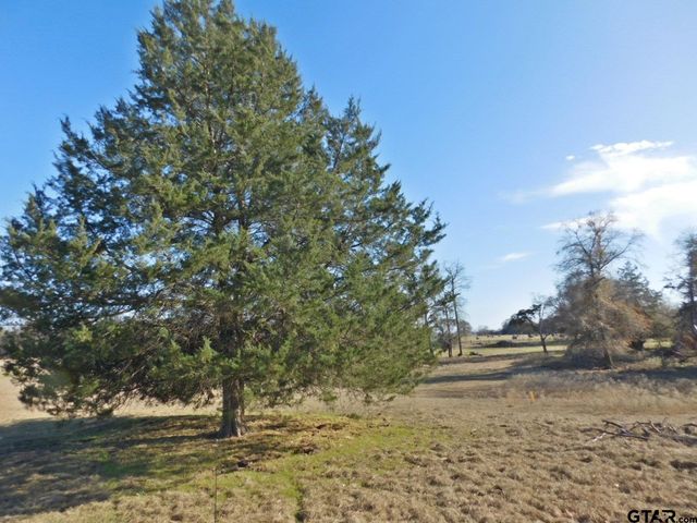 TBD FM 2088, Quitman, TX 75783