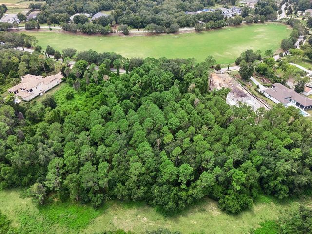 17131 ETRUSCAN LANE, Montverde, FL 34756