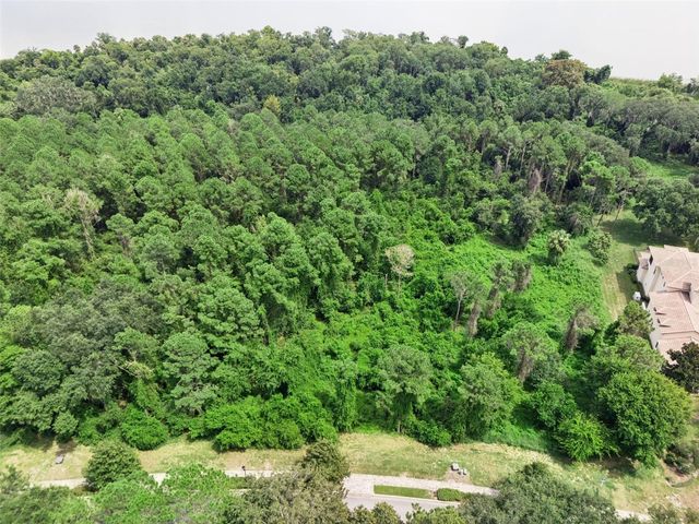 17131 ETRUSCAN LANE, Montverde, FL 34756