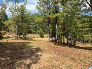 612 COOSA COUNTY ROAD 117, Goodwater, AL 35072