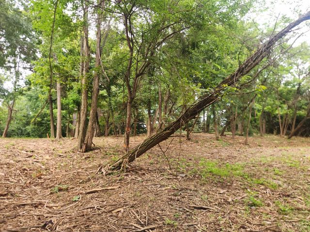 7660 Clough Pike, Anderson Twp, OH 45244