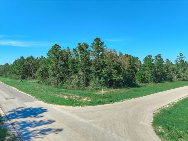 11911 Grand North Road, Willis, TX 77378