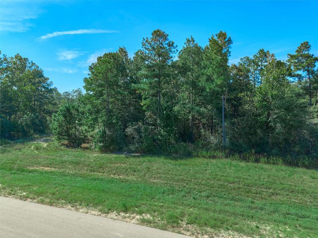 11911 Grand North Road, Willis, TX 77378