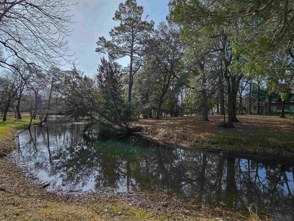 226 Westleton Dr Apt 19A, Myrtle Beach, SC 29572 — photo 5