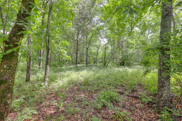 6038 Blackwell Ln, Franklin, TN 37064
