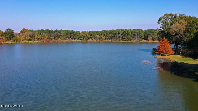 136 Trails End, Flora, MS 39071