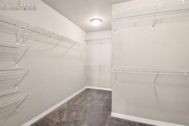 6007 Wendy Stream Way, Colorado Springs, CO 80924