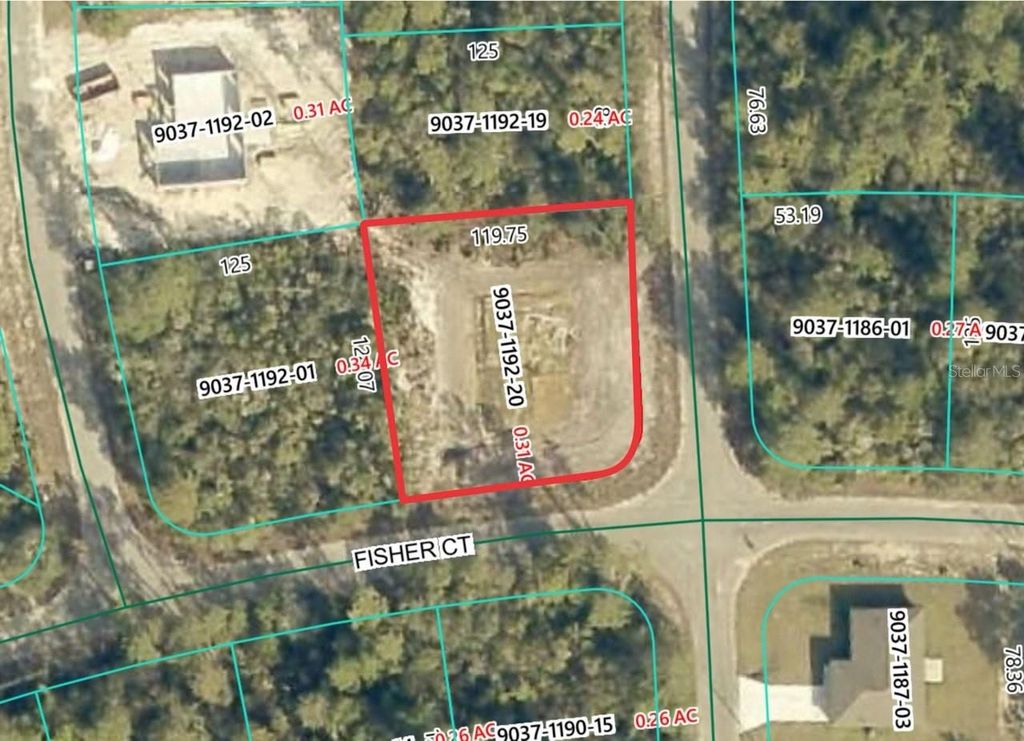 189 FISHER COURT, Ocklawaha, FL 32179