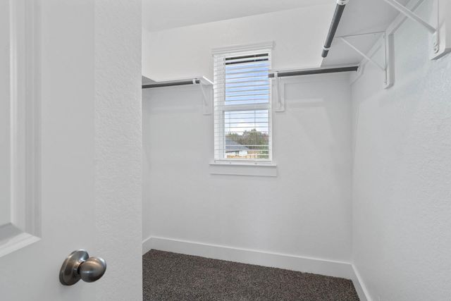 211 Orchard Laurel Drive, Alvin, TX 77511