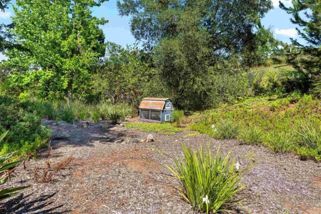 1717 Birchwood, San Marcos, CA 92069