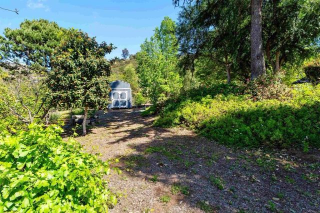 1717 Birchwood, San Marcos, CA 92069