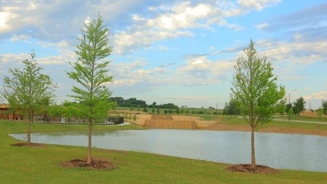 736 SOARING HAWK Drive, Fort Worth, TX 76008