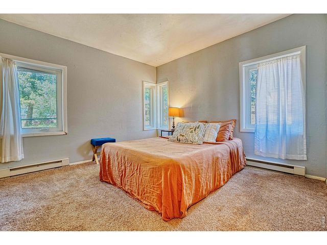 253 W Breed St, Nederland, CO 80466