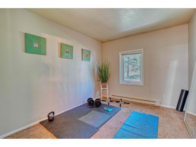 253 W Breed St, Nederland, CO 80466