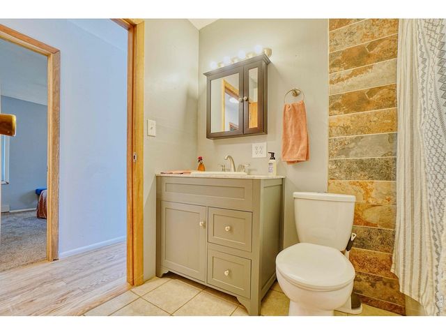 253 W Breed St, Nederland, CO 80466