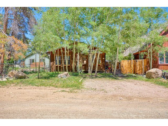253 W Breed St, Nederland, CO 80466