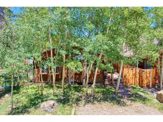 253 W Breed St, Nederland, CO 80466