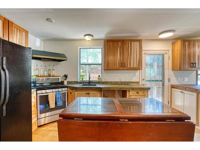 253 W Breed St, Nederland, CO 80466